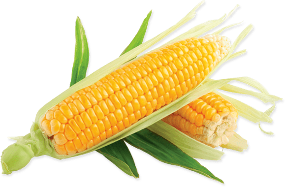 corn